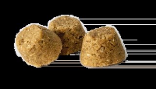 Oven Baked Tradition Dog Food Adult All Breed With Lamb 2,27kg