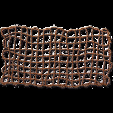 REPTI PLANET Sieć Kokosowa 100x50cm