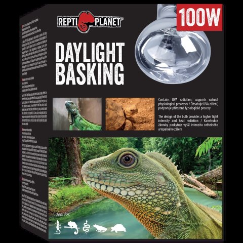 REPTI PLANET Żarówka Daylight Basking Spot 100W