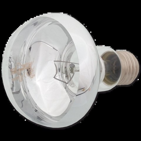 REPTI PLANET Żarówka Daylight Basking Spot 100W