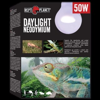 REPTI PLANET Żarówka Daylight Neodymium 50W