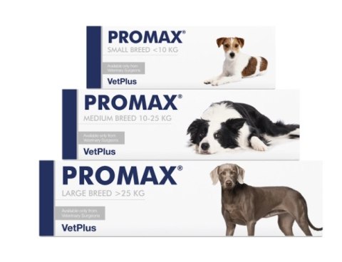 VETPLUS LIMITED Promax Probiotyk Dla Psów Dużych Ras 30ml