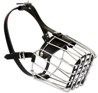 Dingo Kaganiec Metalowy Dla Psa Rozmiar 9