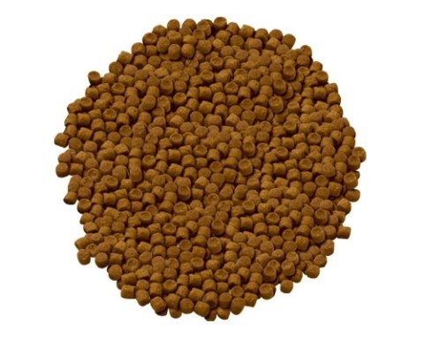Hill's SP Science Plan Feline Adult Jagnięcina 3kg