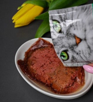 Josera Pate Kurczak Ze Szpinakiem 85g