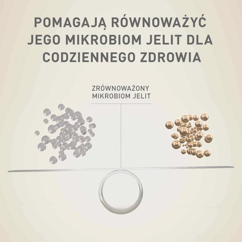 PURINA ONE Mini Adult Wołowina, ryż - sucha karma dla psa - 800g