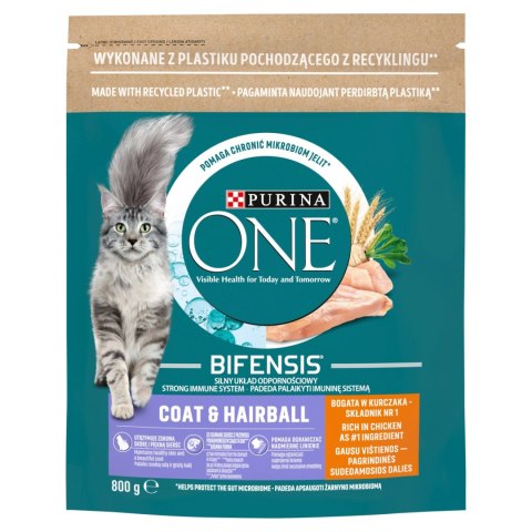 Purina One Cat Coat & Hairball Karma dla kotów z kurczaka 800g