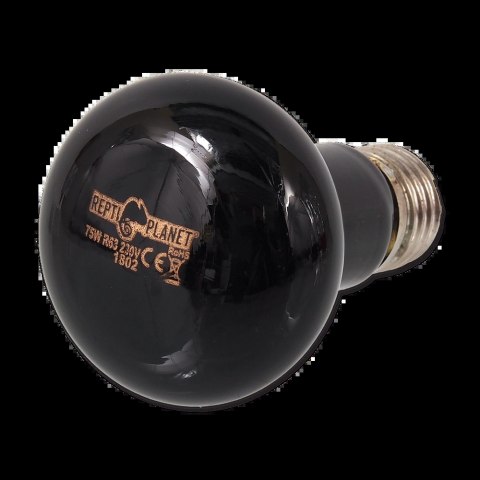 RP Żarówka Moonlight HEAT 75W