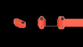 Tickless Active Coral