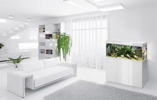 AQUAEL Szafka Glossy 80 Biała