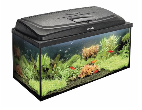 AQUAEL Zestaw Akwarystyczny Aqua4Family 80/P D&N