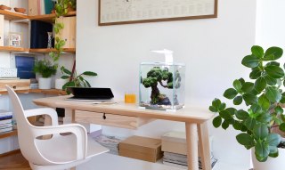 AQUAEL Zestaw Aquael Shrimp Set Day & Night Czarny 10