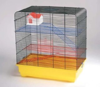 Impex klatka dla gryzoni, TOM 1 , 600x370x640