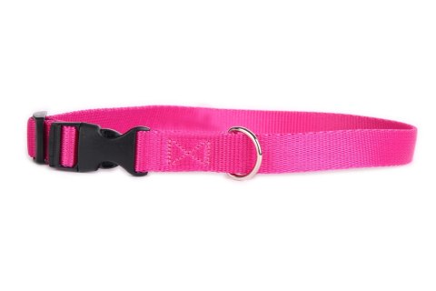 DogStuffs Obroża z plastikową klamrą 20mm/30-55cm różowa