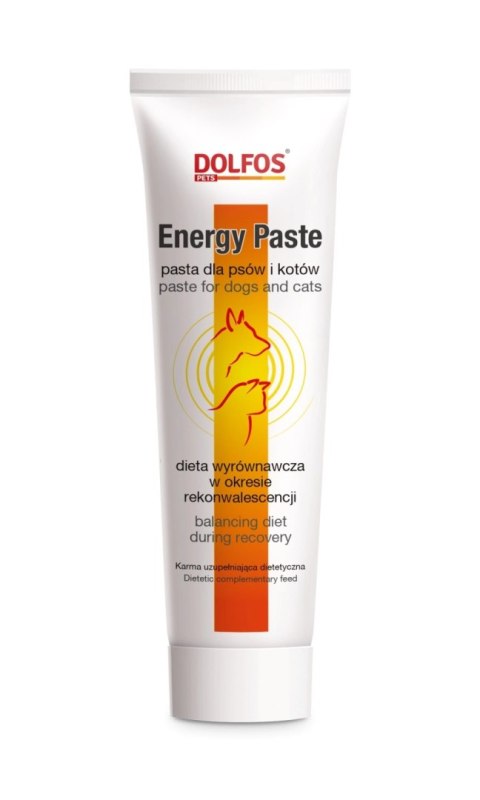 Dolfos Energy Paste 100g