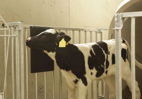 KERBL Drapak Dla Koni I Bydła