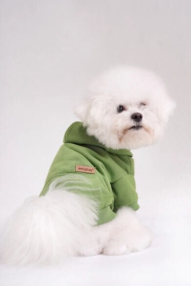 AMIPLAY Bluza Z Kapturem Texas Czerwona 40cm