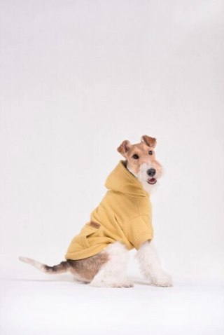 AMIPLAY Bluza Z Kapturem Texas Zielona 35cm