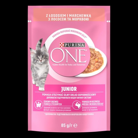 Purina One Junior Karma Dla Kociąt Z Łososiem I Marchewką 85g