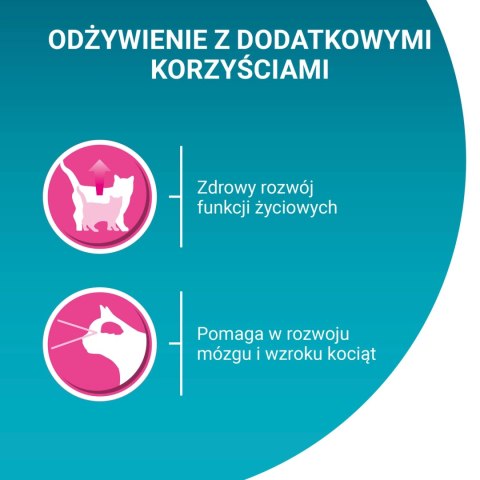 Purina One Junior Karma Dla Kociąt Z Łososiem I Marchewką 85g