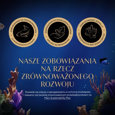 Sheba Kitten Wybór Smaków W Sosie Karma Dla Kociąt 40x85g