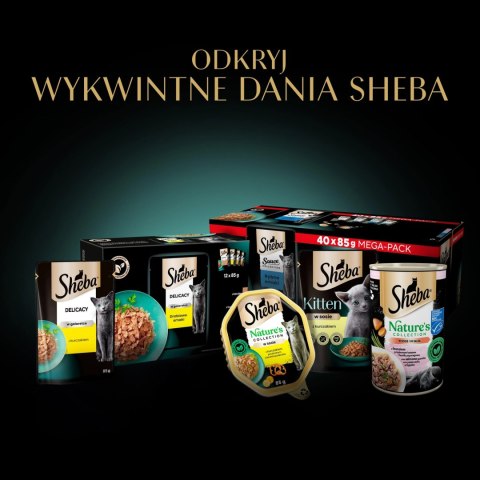 Sheba Sauce Collection Karma Dla Kota Rybne Smaki 40x85g