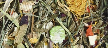 KORONA NATURY Natural-Vit Pokarm Dla Koszatniczki 750g