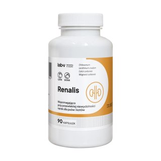 Lab-v Renalis Wsparcie Przy Przewlekłej Niewydolności Nerek Dla Psów I Kotów 90 Kapsułek