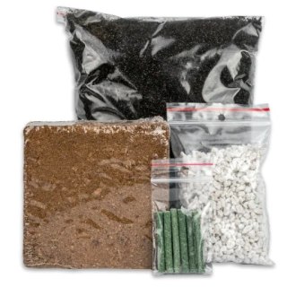 Zestaw Zielnik Basic Mój Pierwszy Ogród Kwiaty