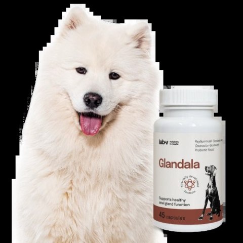 Lab-v Glandala Wsparcie Gruczołów Okołoodbytowych i Przewodu Pokarmowego 45 Kapsułek