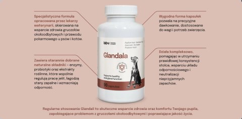 Lab-v Glandala Wsparcie Gruczołów Okołoodbytowych i Przewodu Pokarmowego 90 Kapsułek