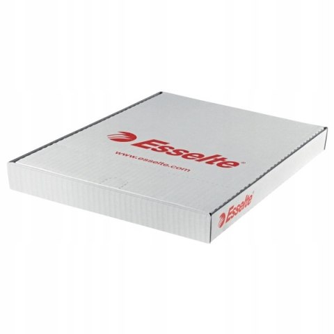 Koszulki krystaliczne na dokumenty A4 55 mic 100 sztuk w pudełku 56066 ESSELTE