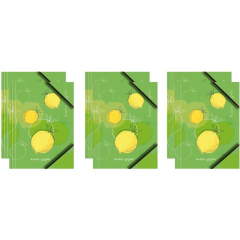 Teczka kartonowa A4 z gumką narożną KWAŚNA CYTRYNKA BT601-A1 TETIS