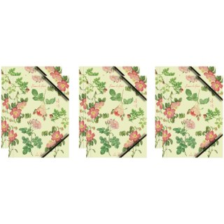 Teczka kartonowa A4 z gumką narożną RÓŻE NA JASNO-ZIELONYM TLE BT601-D3 TETIS