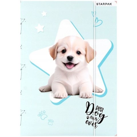 Teczka z gumką A4 DOGGY 559706 STARPAK
