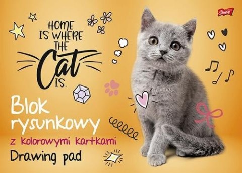 Blok rysunkowy szkolny A3 kolorowy 16 kartek 80g UNIPAP