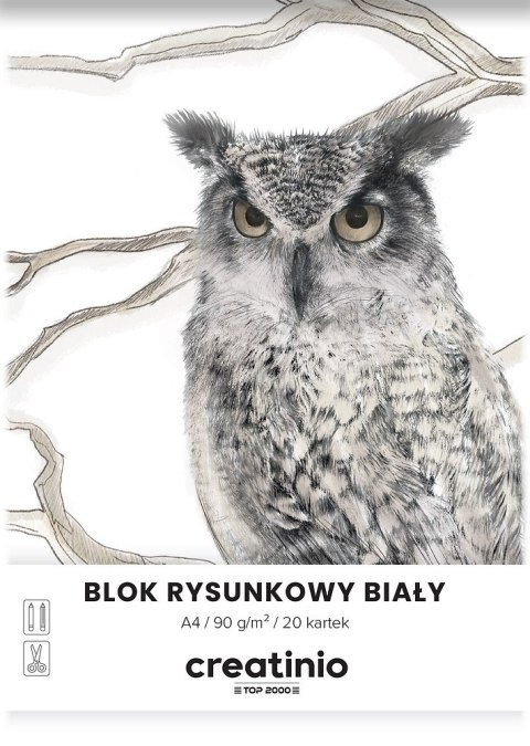 Blok rysunkowy szkolny A4 biały 20 kartek 90g 400176663 TOP 2000