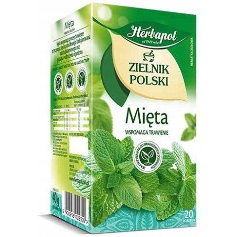 Herbata HERBAPOL ZIELNIK POLSKI (20 torebek) mięta