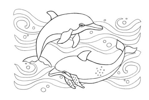 Kolorowanki B5, galeria 5 GAL-103