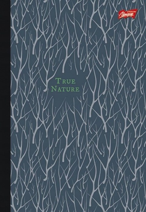 Brulion B5 160k kratka w półtwardej oprawie UNIPAP