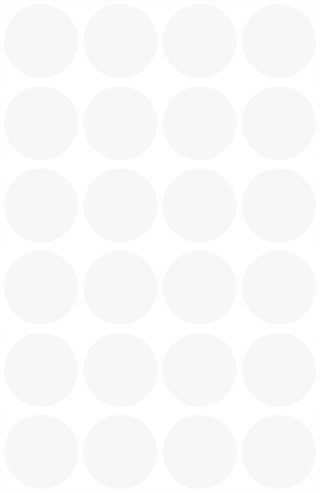 Etykiety ZF Q18mm białe kółka 3170 AVERY ZWECKFORM