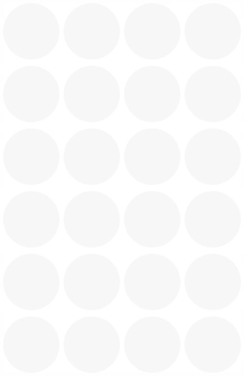 Etykiety ZF Q18mm białe kółka 3170 AVERY ZWECKFORM