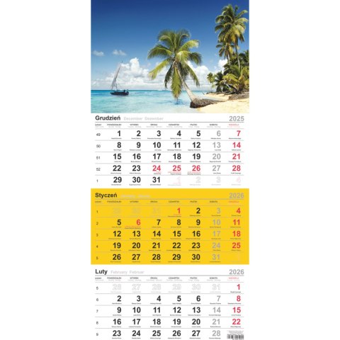 Kalendarz trójdzielny(H) PALMY T-106T-07 Michalczyk i Prokop