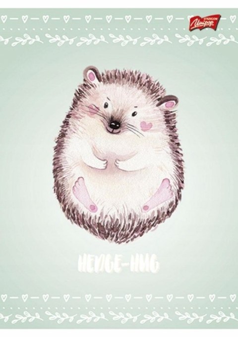 Zeszyt A5 16kartek 3linia laminowany mix dziewczęcy UNIPAP