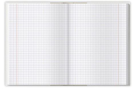 Brulion COLORS A5 96K kratka margines mix kolorów 400169191 TOP 2000