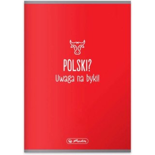 Zeszyt A5 60k linia JĘZYK POLSKI 400197991 HERLITZ