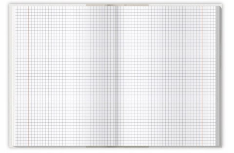 Zeszyt szkolny z twardą okładką A5 Brulion 96 kartek w kratkę COLORS 400169200 TOP 2000