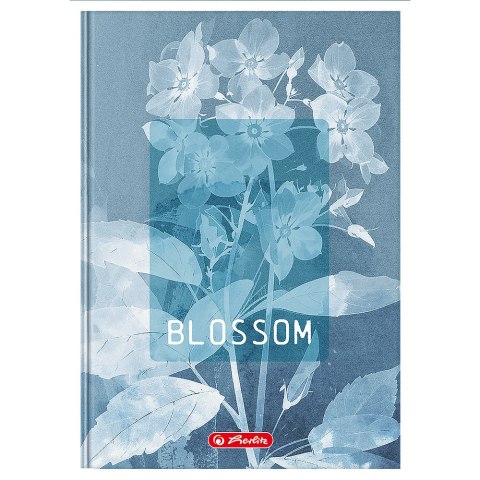 Brulion A5 96k kratka z marginesem BLOSSOM 400206436 HERLITZ