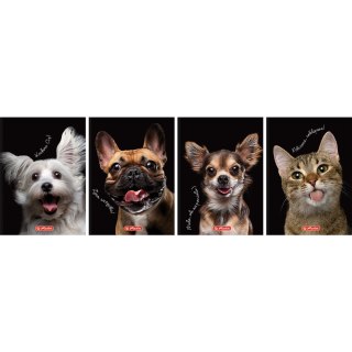 Brulion A6 80k kratka CRAZY ANIMAL 400196850 HERLITZ