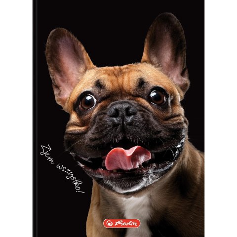 Brulion A6 80k kratka CRAZY ANIMAL 400196850 HERLITZ